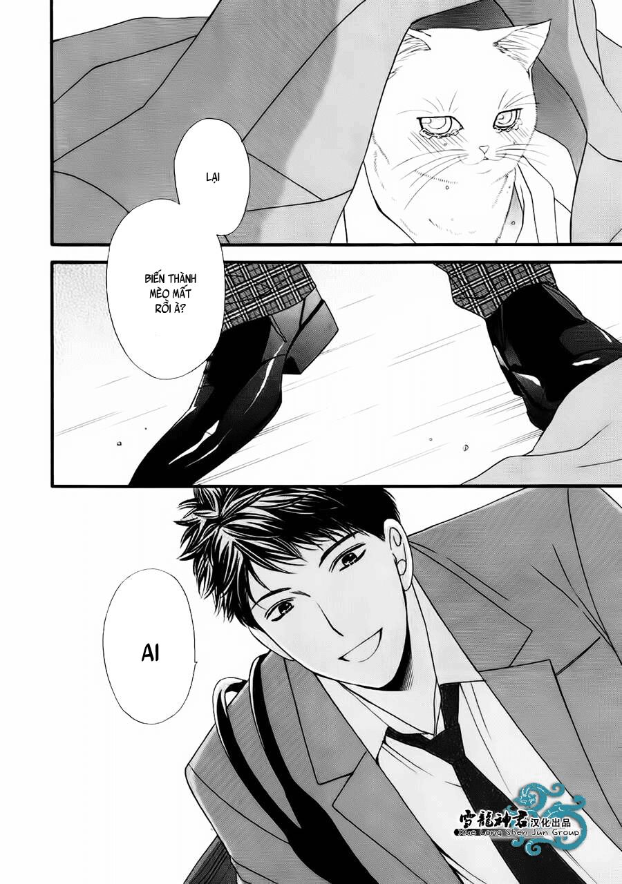 Neko Neko Honey: Chapter 8
