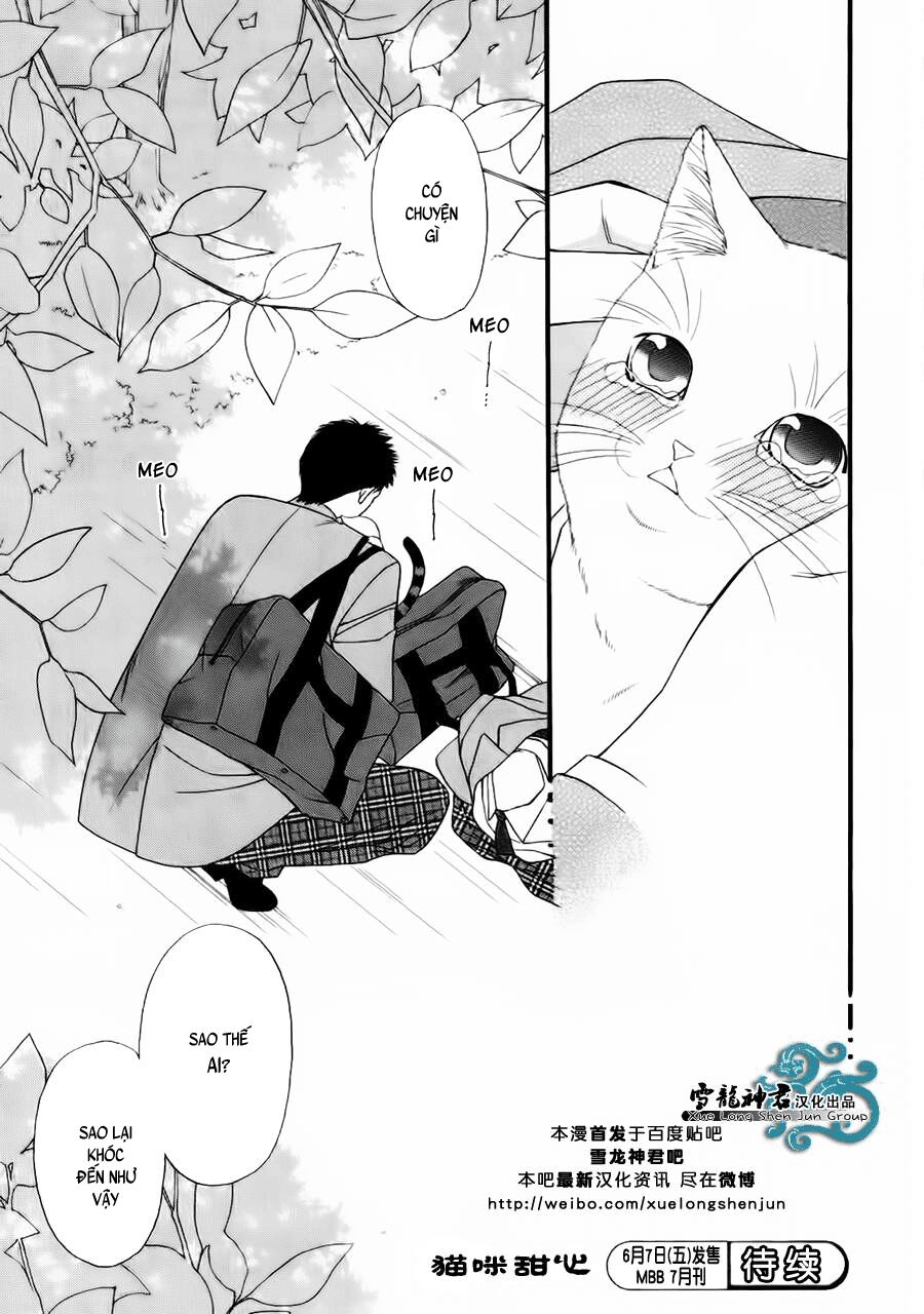Neko Neko Honey: Chapter 8