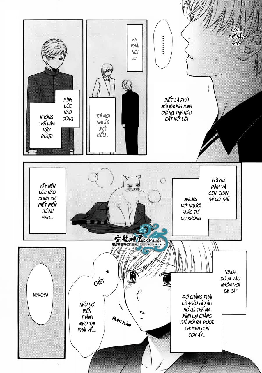 Neko Neko Honey: Chapter 8