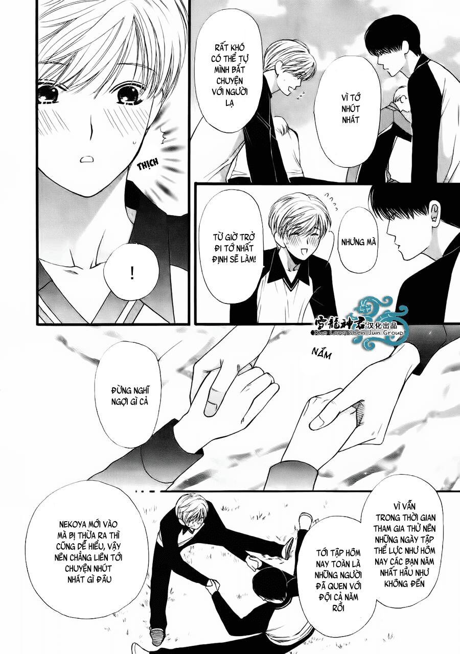 Neko Neko Honey: Chapter 8