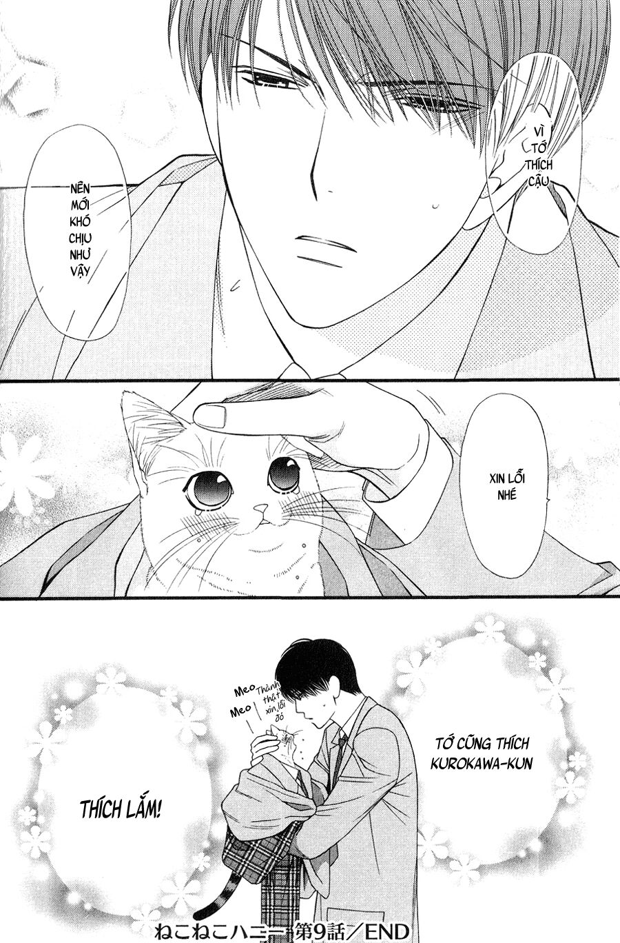 Neko Neko Honey: Chapter 9