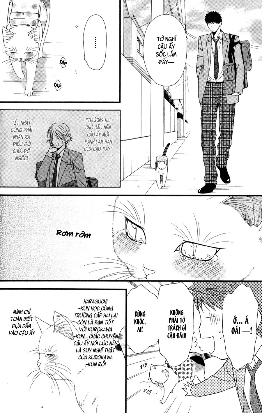 Neko Neko Honey: Chapter 9