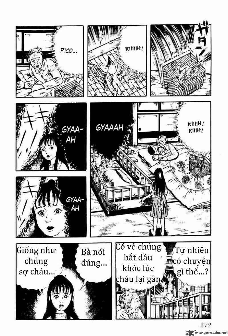 God's left hand, Devil's right hand: Chapter 55
