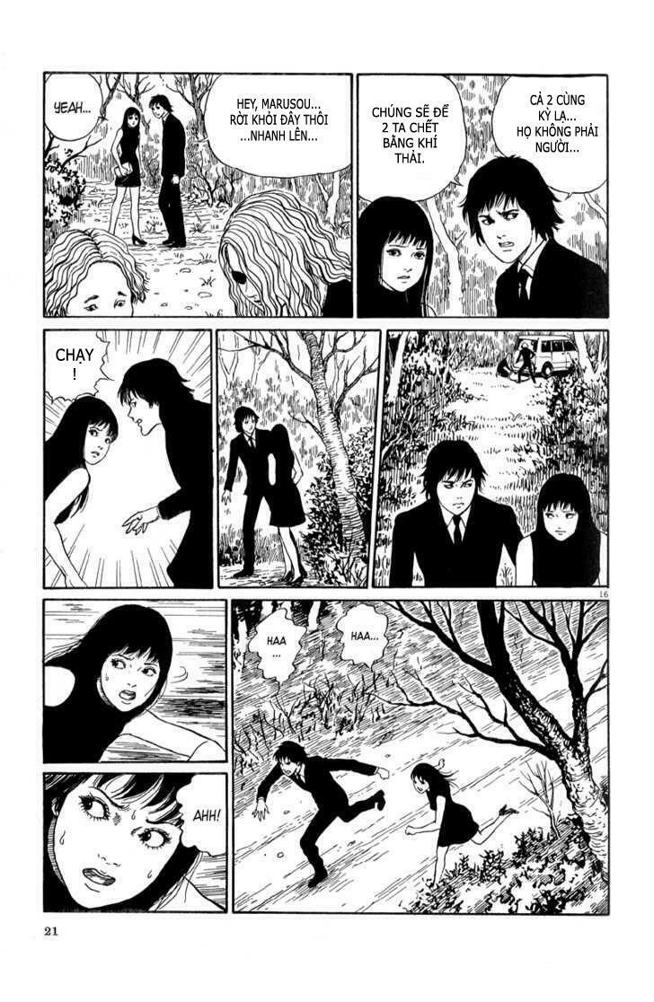 Black Paradox: Chapter 1