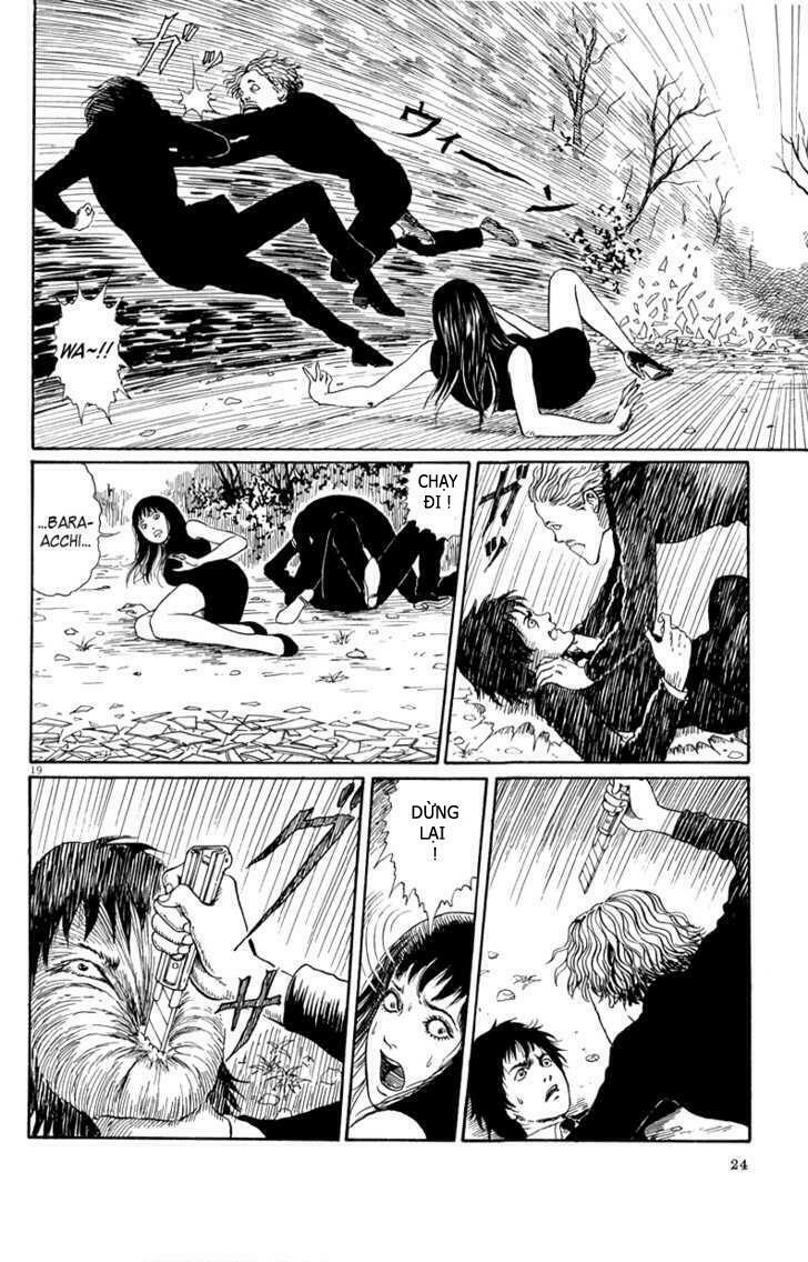 Black Paradox: Chapter 1