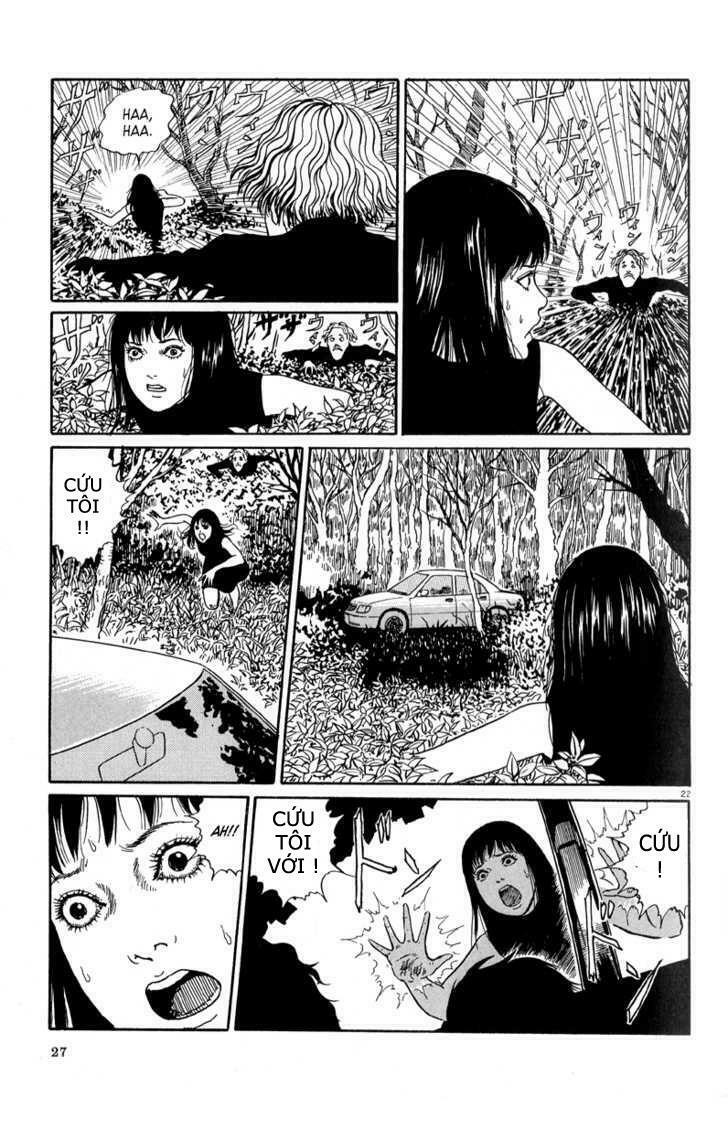 Black Paradox: Chapter 1
