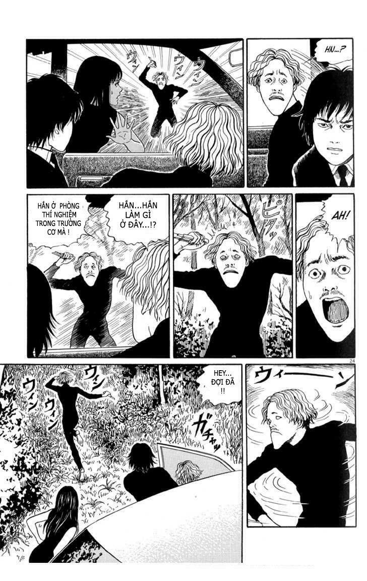 Black Paradox: Chapter 1