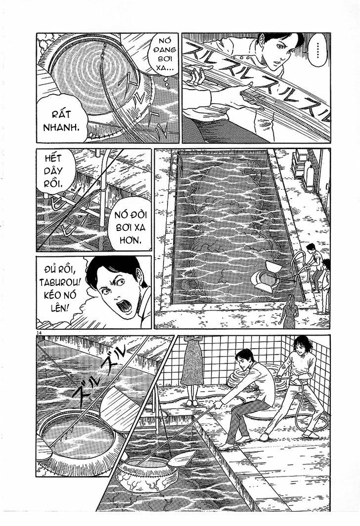 Black Paradox: Chapter 5