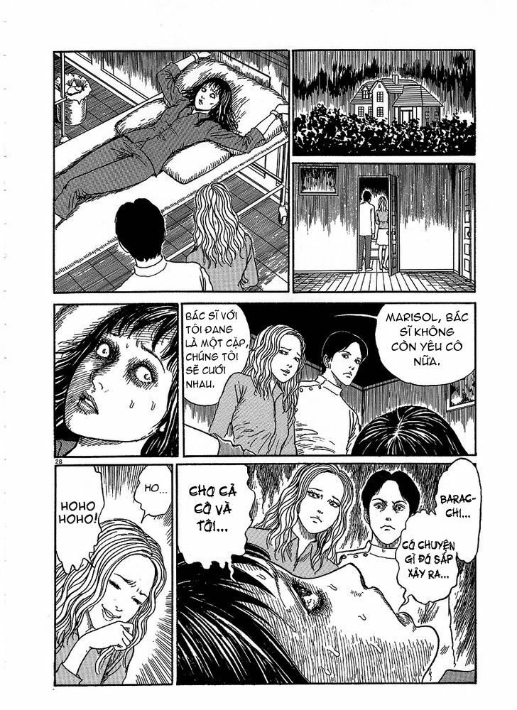 Black Paradox: Chapter 5