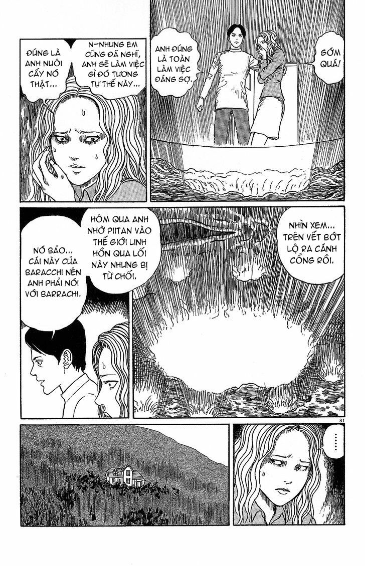 Black Paradox: Chapter 5