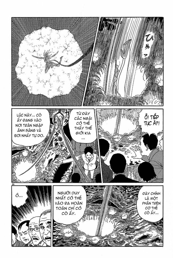 Black Paradox: Chapter 5