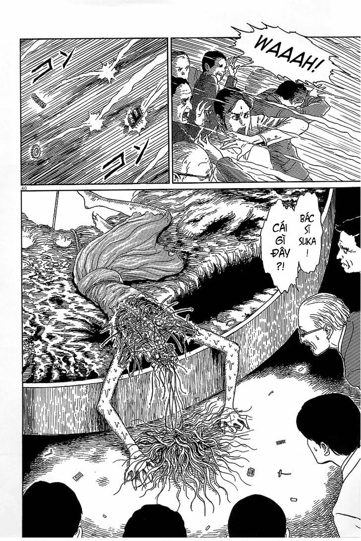 Black Paradox: Chapter 5