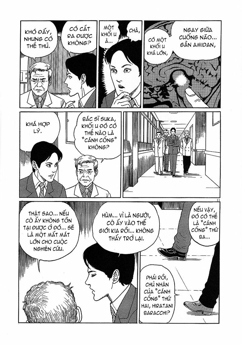 Black Paradox: Chapter 6