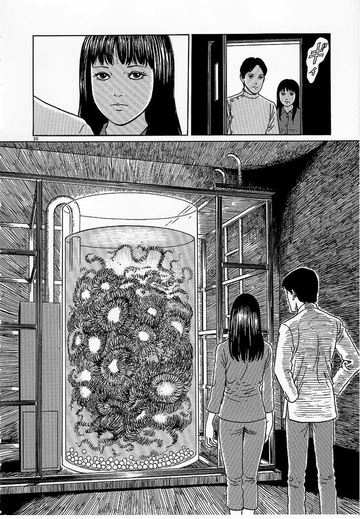 Black Paradox: Chapter 6