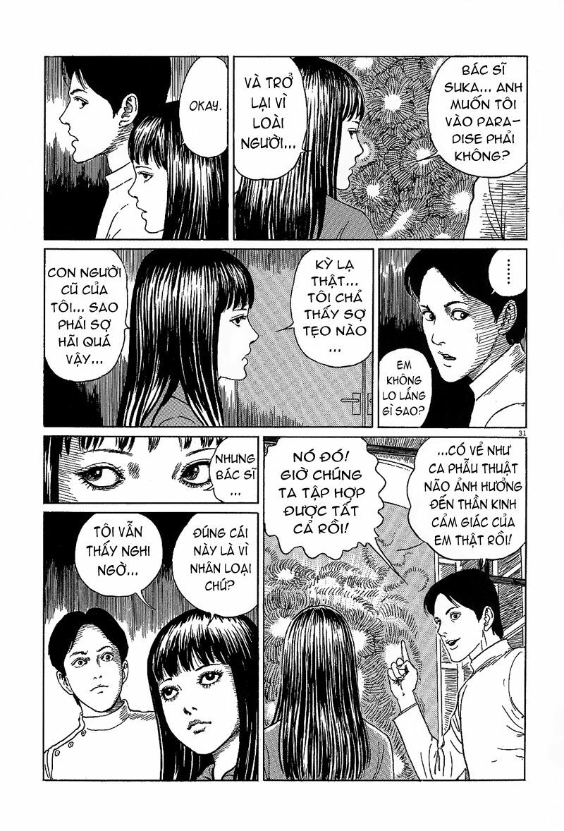 Black Paradox: Chapter 6
