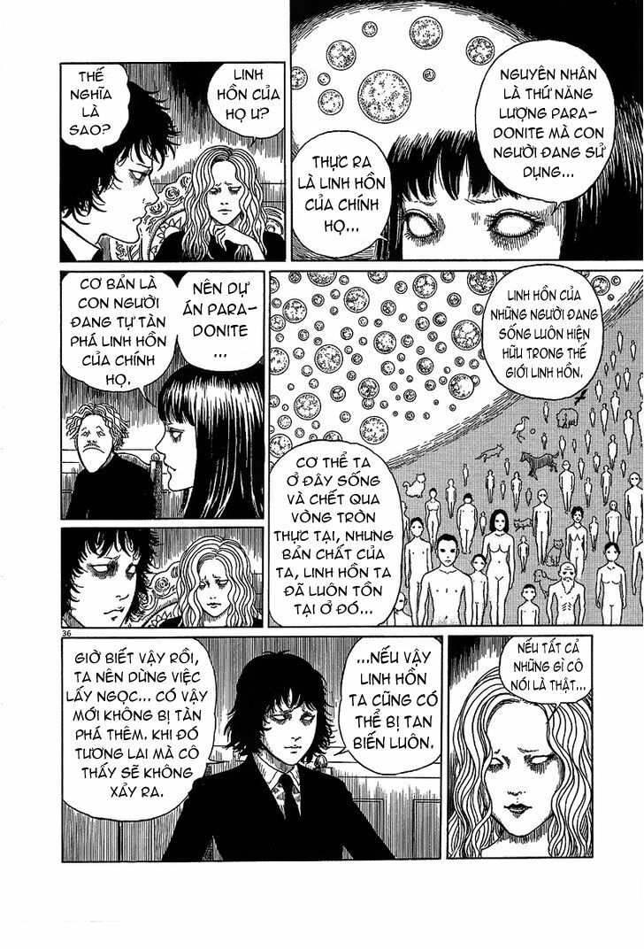 Black Paradox: Chapter 6