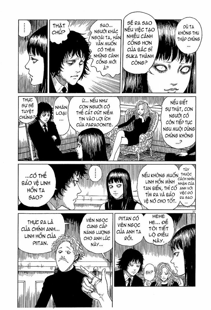 Black Paradox: Chapter 6