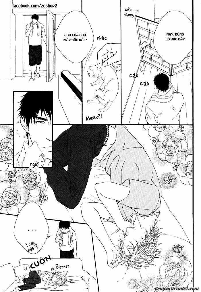 Người Nuôi Mèo Và Bác Sĩ Thú Y: Chapter 2