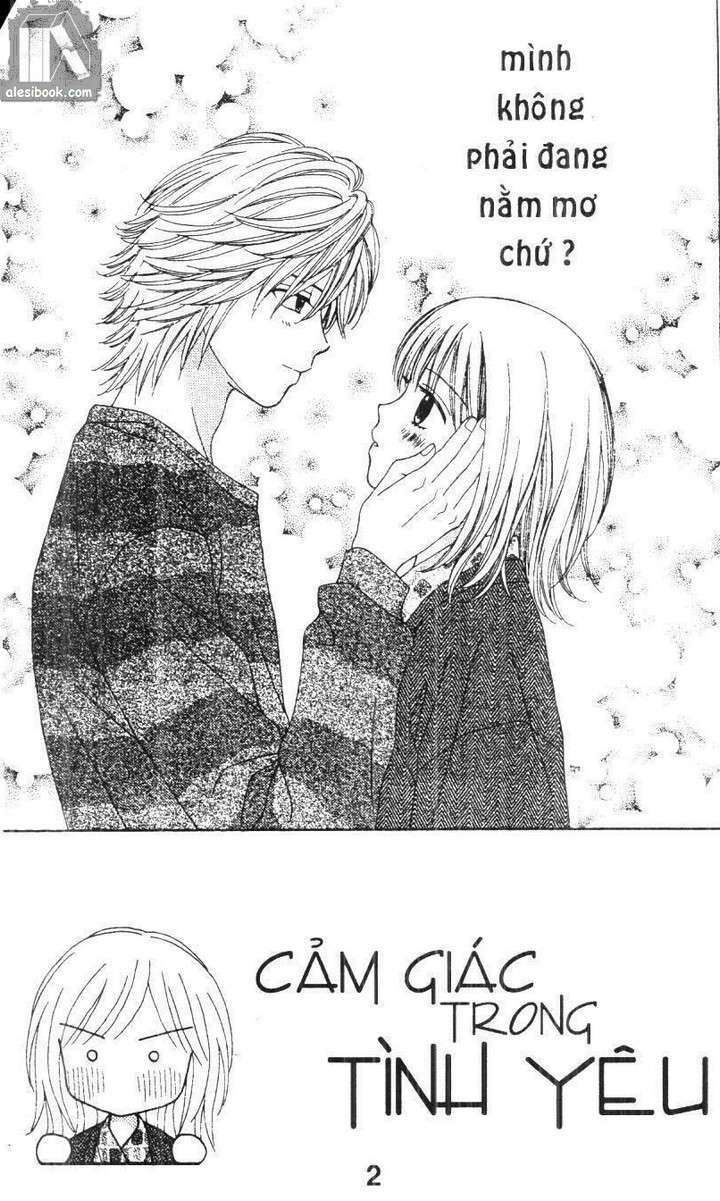 Cảm Giác Trong Tình Yêu: Chapter 5