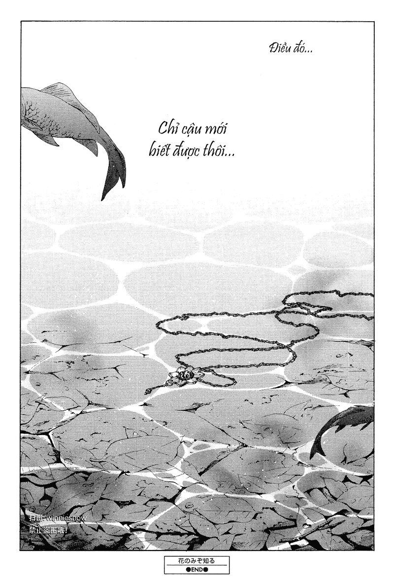 Only The Flower Knows: Chapter 12
