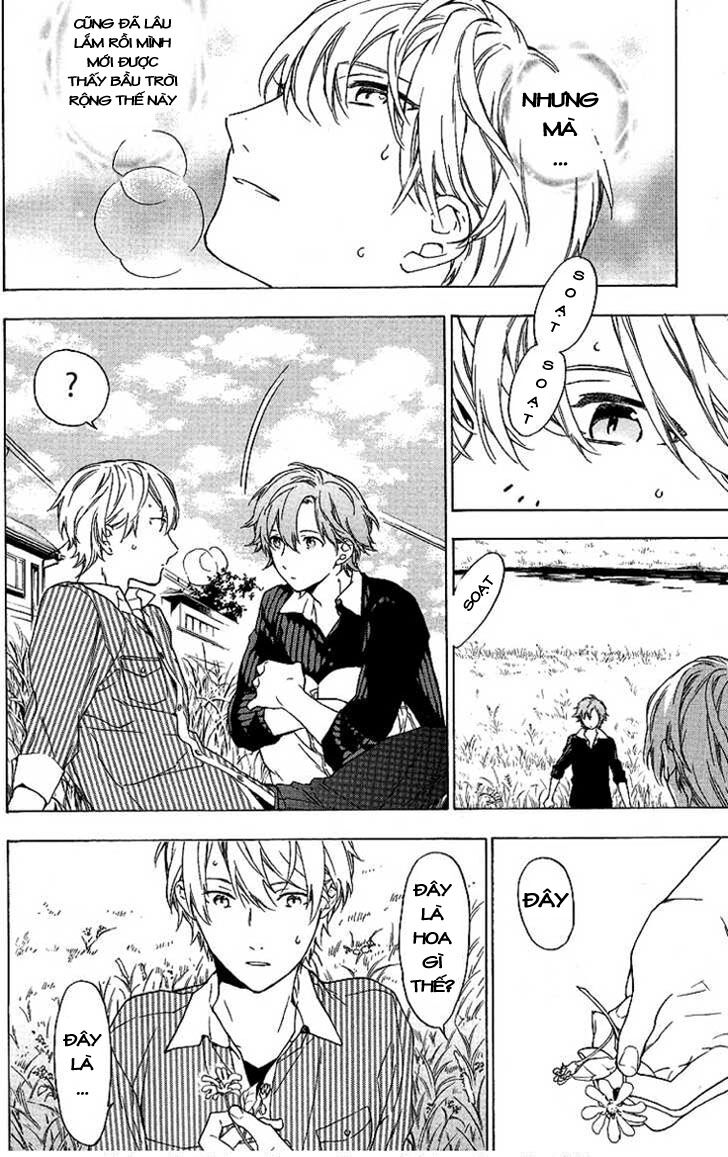 Only The Flower Knows: Chapter 4