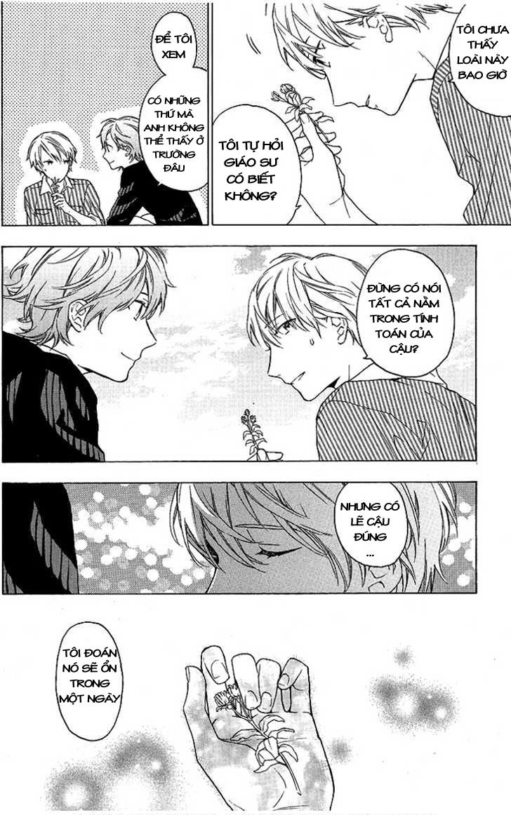 Only The Flower Knows: Chapter 4