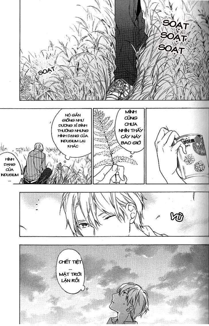 Only The Flower Knows: Chapter 4