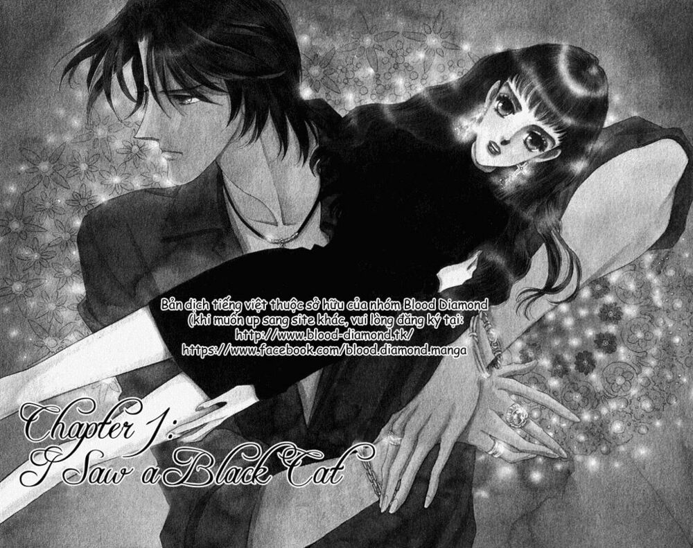 Lady Masquerade: Chapter 1.1