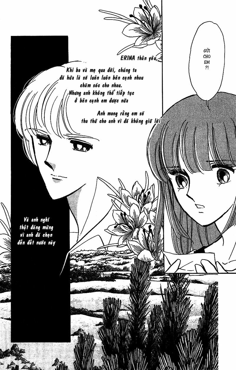 Bình Minh Bên Sư Tử: Chapter 4