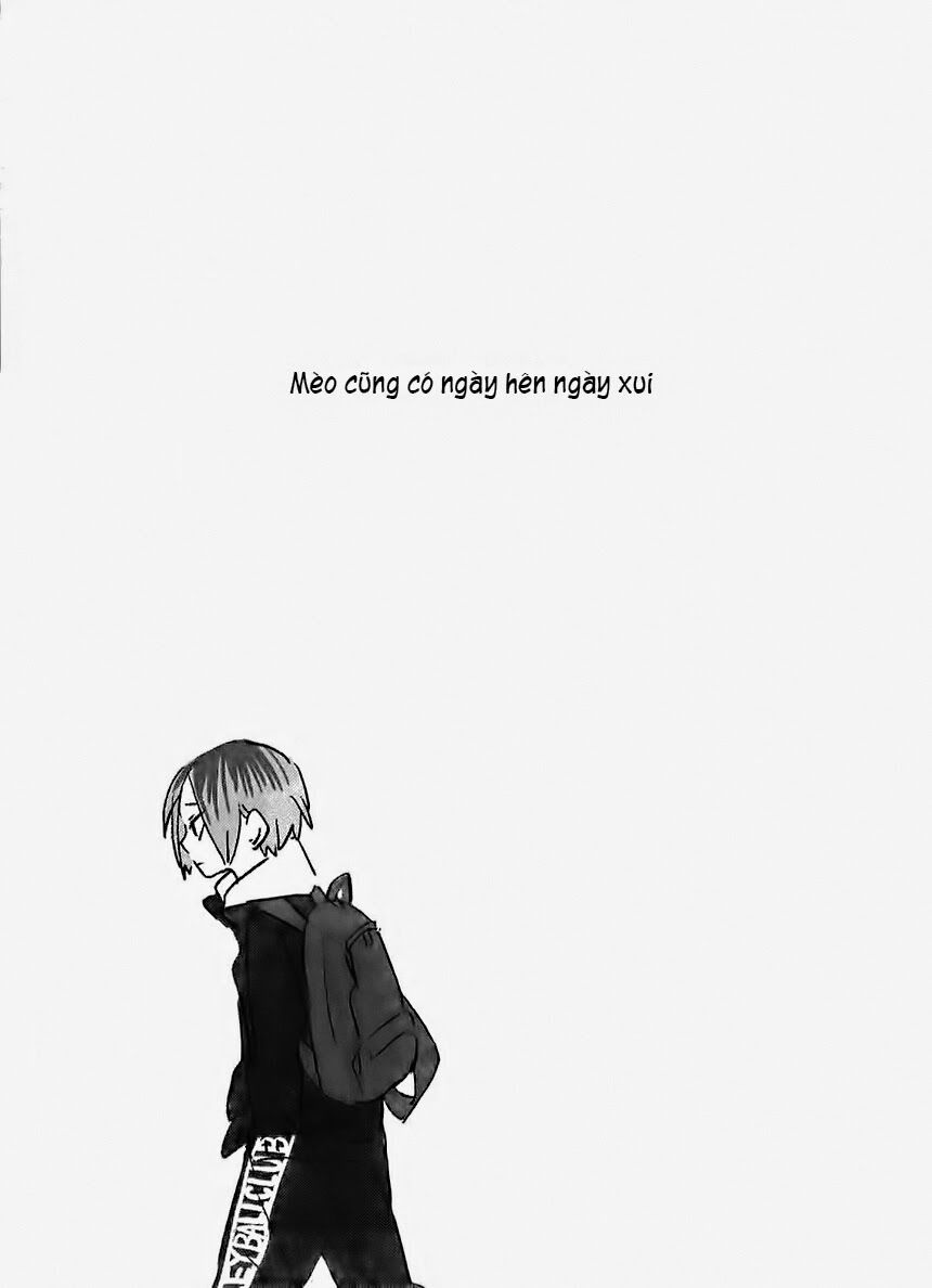 Mèo cũng có ngày hên ngày xui: Chapter 1: One shot