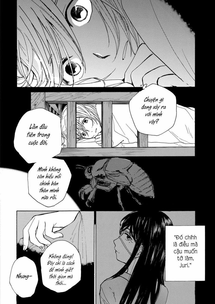 Houtai Shoujo Kikan: Chapter 1: One shot
