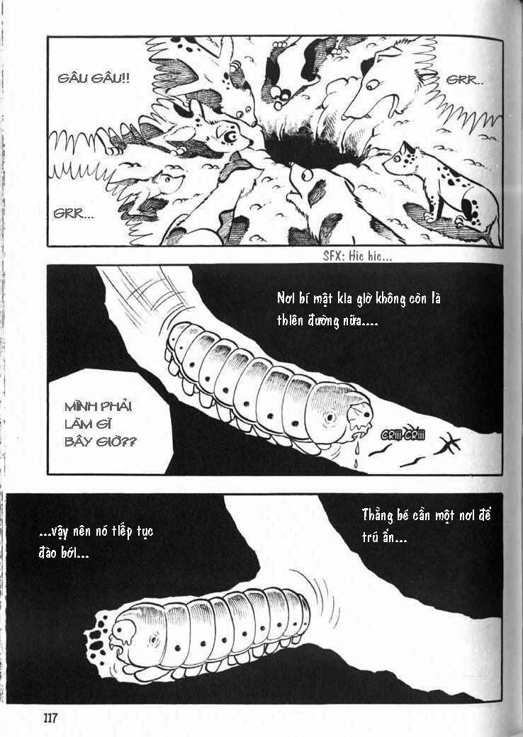 The Bug boy: Chapter 4