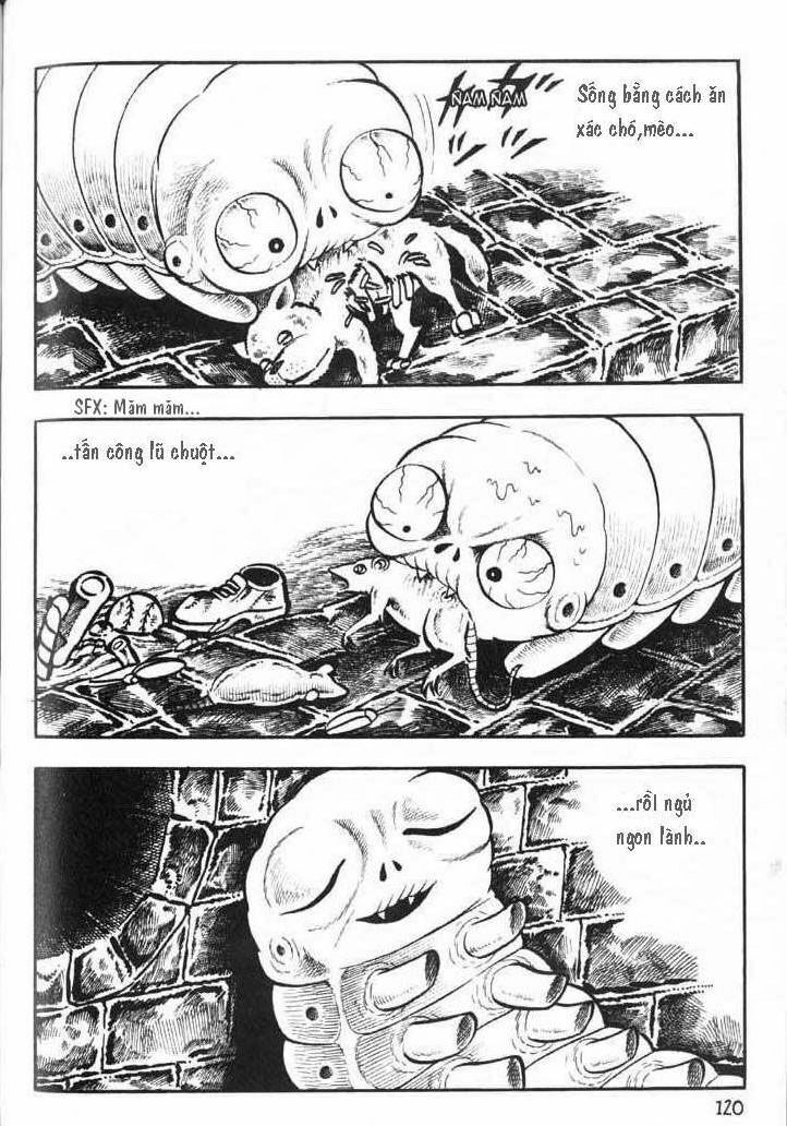 The Bug boy: Chapter 4