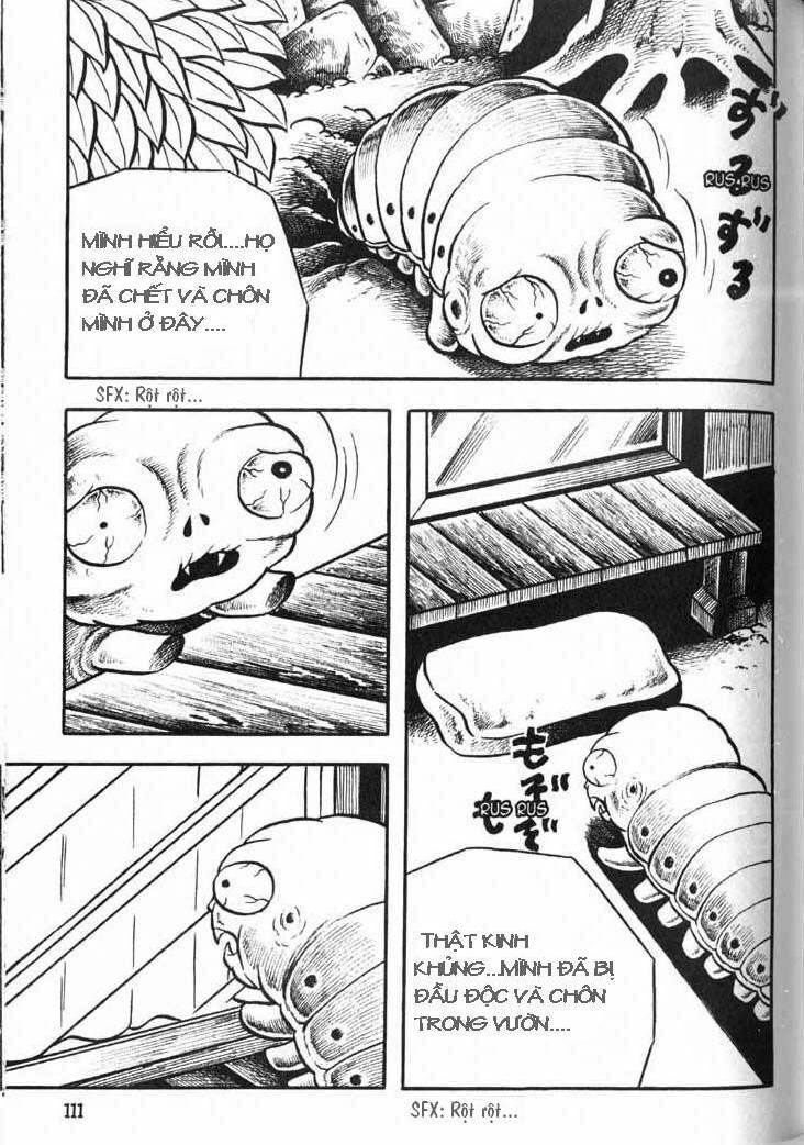 The Bug boy: Chapter 4