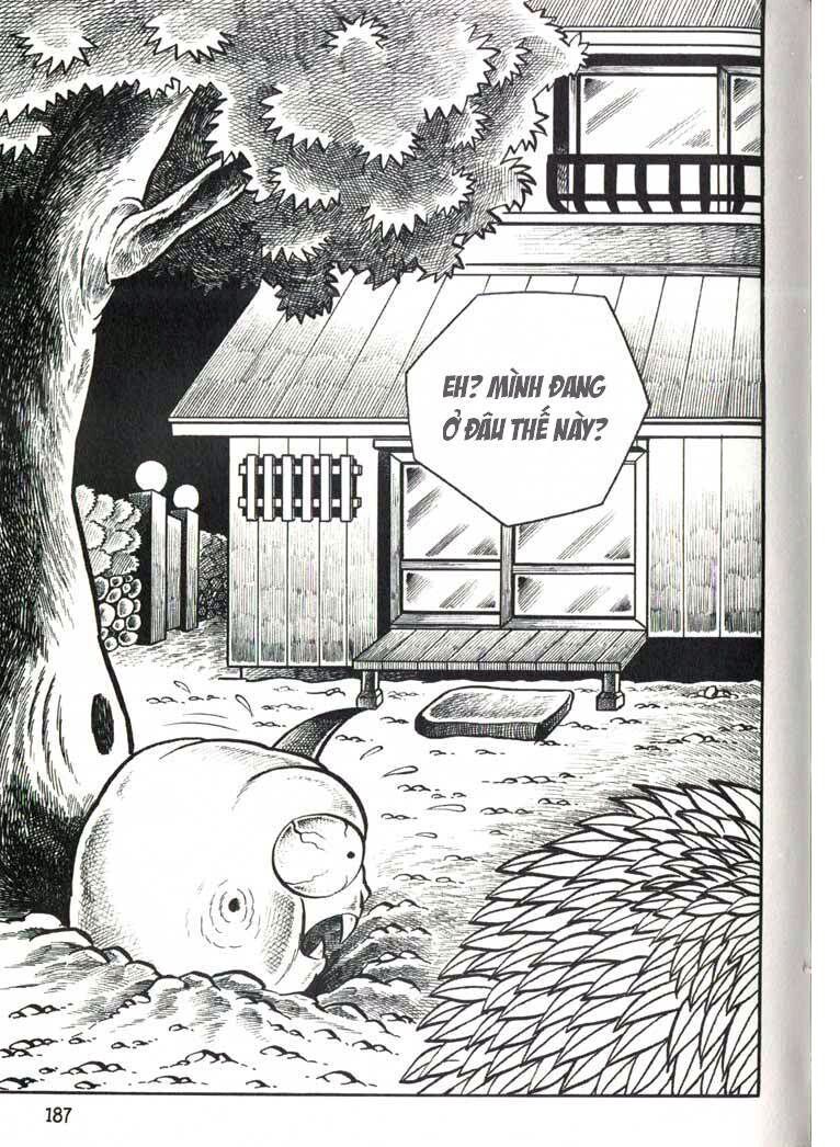 The Bug boy: Chapter 6