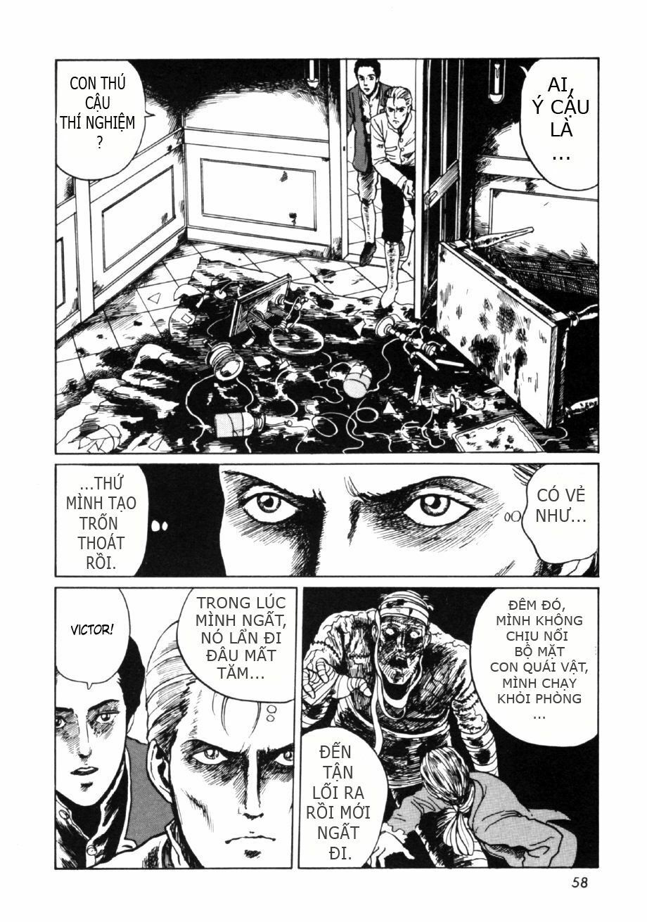 Frankenstein: Chapter 2