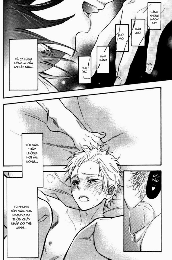 Lời Tựa ánh Sao: Chapter 4
