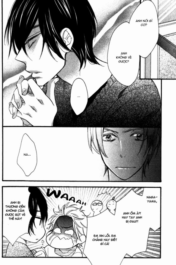 Lời Tựa ánh Sao: Chapter 5