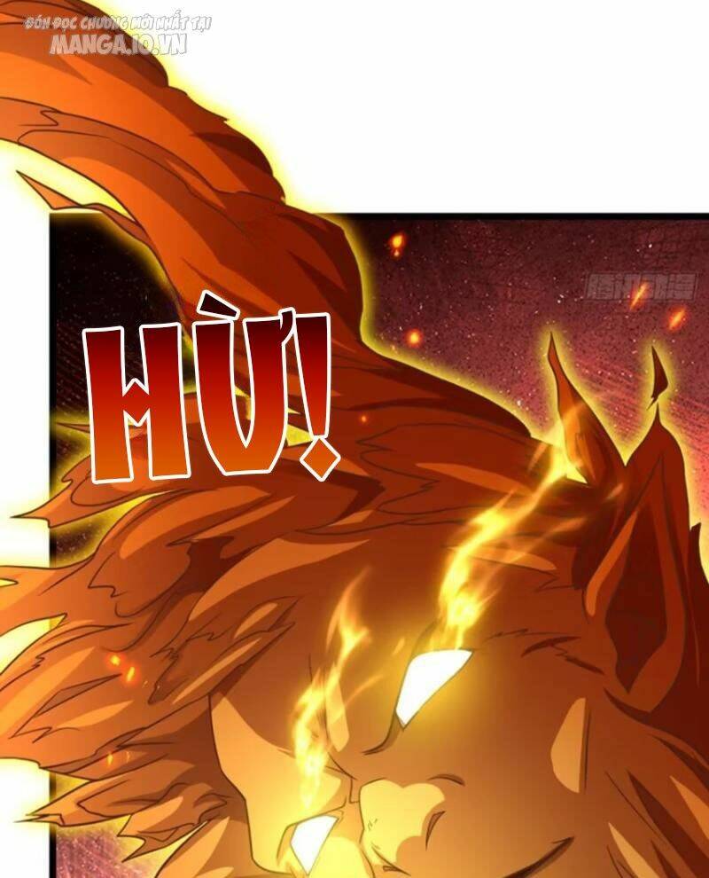 Vợ tôi và tôi thống trị Tam giới: Chapter 116