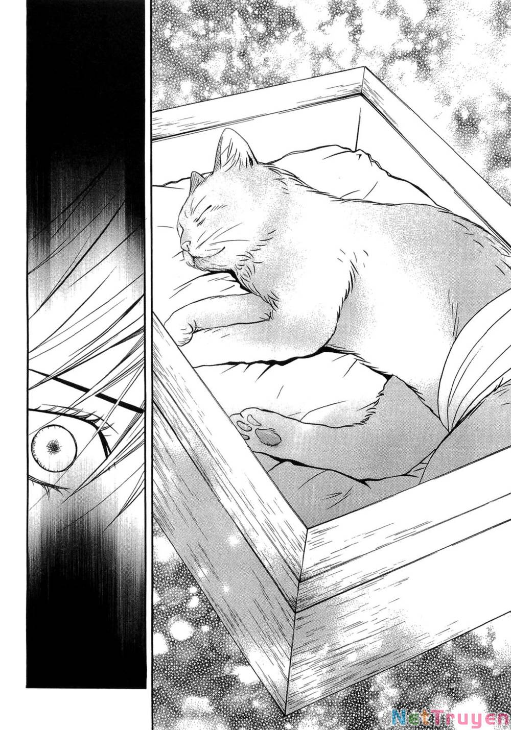 Death Sweeper: Chapter 42