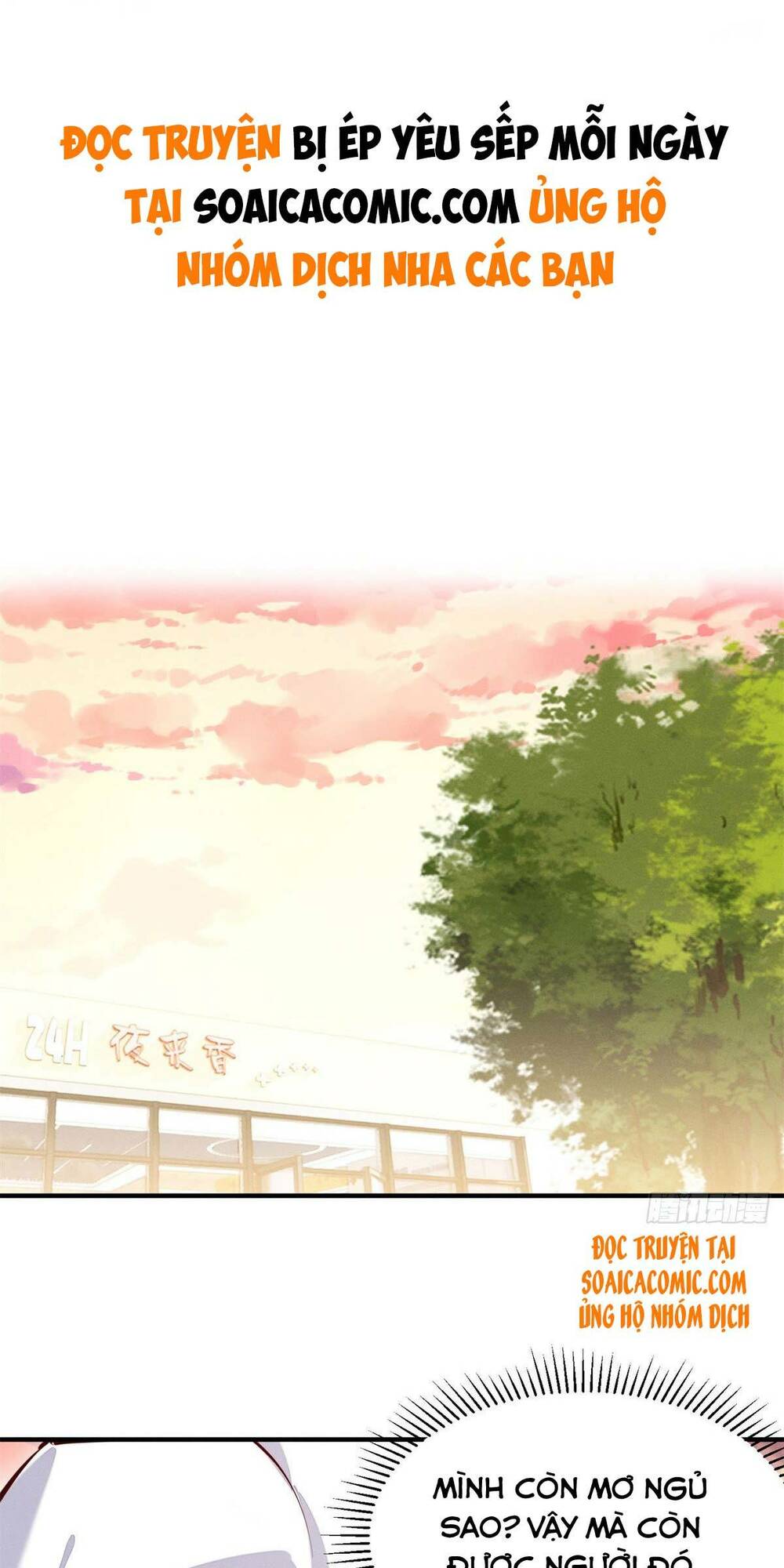 Bị Ép Yêu Sếp Mỗi Ngày: Chapter 3