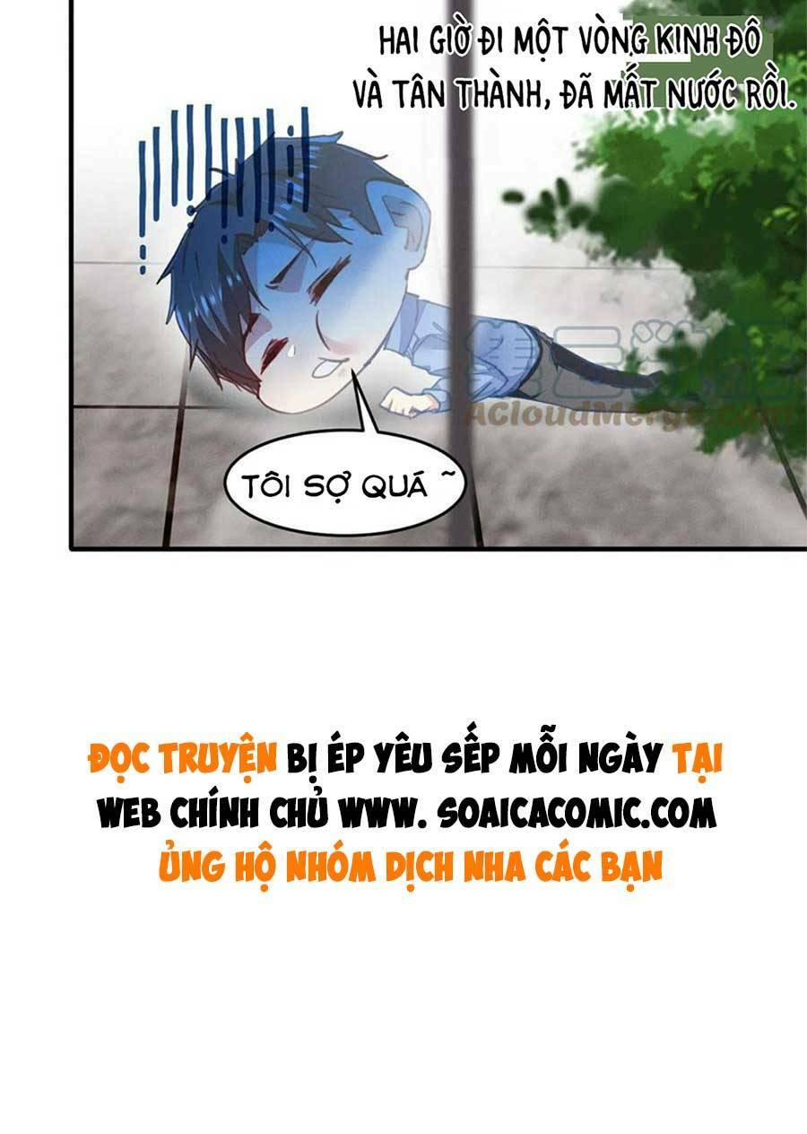 Bị Ép Yêu Sếp Mỗi Ngày: Chapter 62
