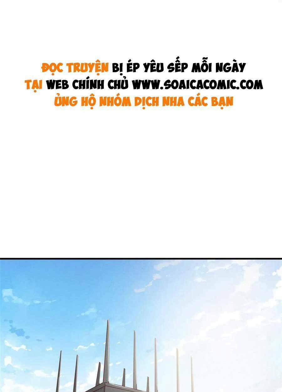 Bị Ép Yêu Sếp Mỗi Ngày: Chapter 66