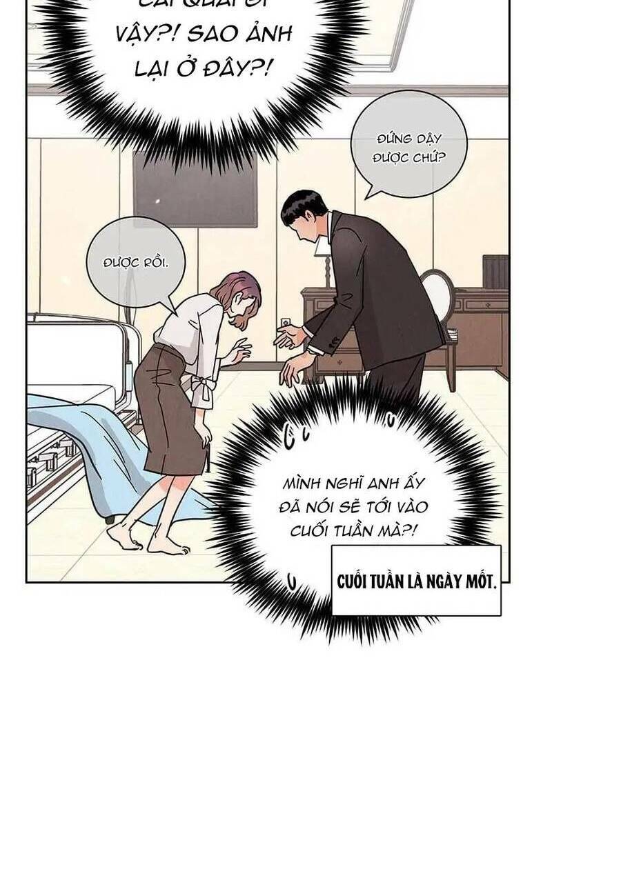 Chào Nhé, Không Làm Thông Gia Nữa Đâu!: Chapter 66
