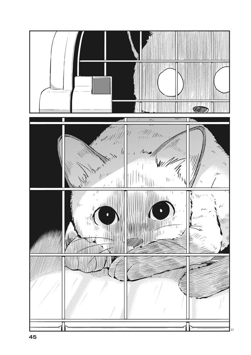 365 Ngày Cho Đến Lúc 2 Ta Kết Hôn: Chapter 1