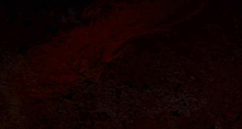 Thăng hạng từ đỉnh cấp: Chapter 28