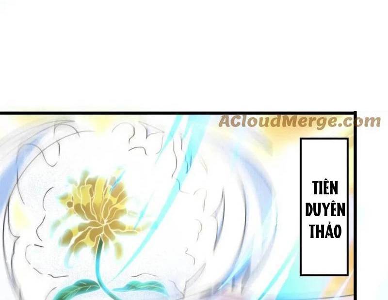 Nữ Đồ Đệ Ai Nấy Đều Muốn Giết Ta: Chapter 180