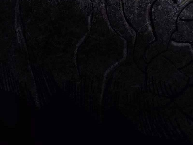 Phá Bỏ Giới Hạn: Chapter 69.5