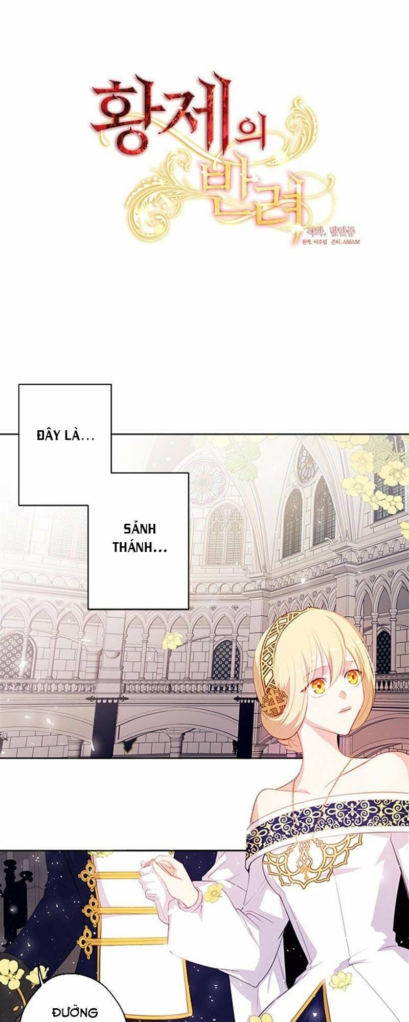 Cộng Tác của Hoàng Đế: Chapter 21