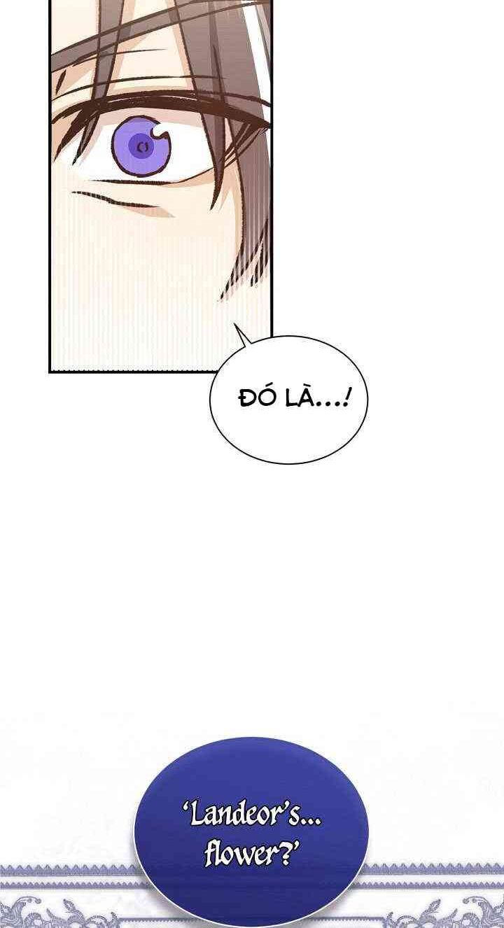 Sự Trở Lại Của Pháp Sư Cấp 8: Chapter 8